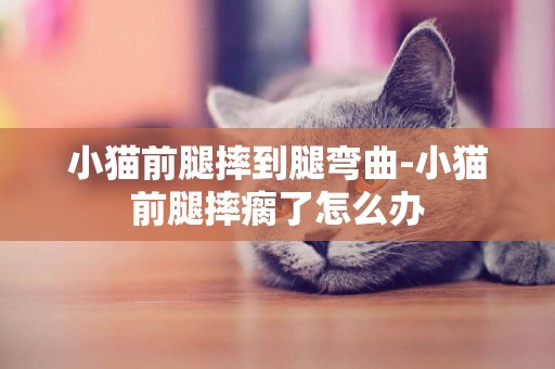 小貓前腿摔到腿彎曲-小貓前腿摔瘸了怎么辦