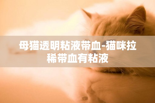 母貓透明粘液帶血-貓咪拉稀帶血有粘液