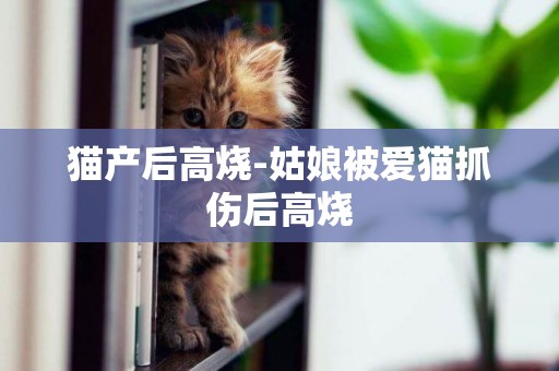 貓產后高燒-姑娘被愛貓抓傷后高燒