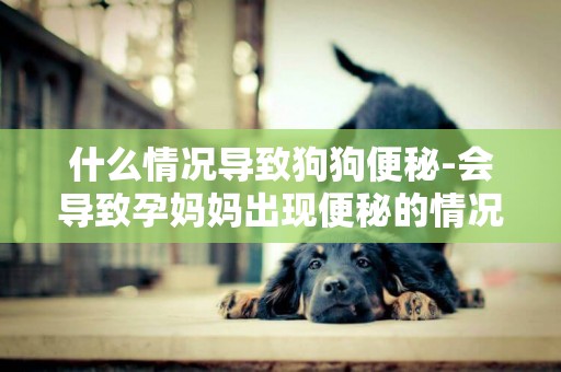 什么情況導致狗狗便秘-會導致孕媽媽出現便秘的情況