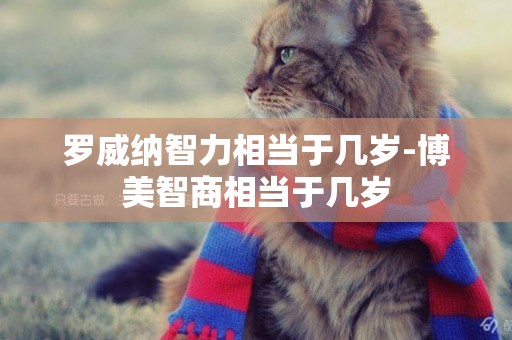 羅威納智力相當于幾歲-博美智商相當于幾歲