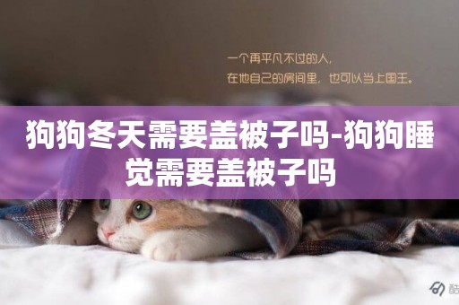 狗狗冬天需要蓋被子嗎-狗狗睡覺需要蓋被子嗎