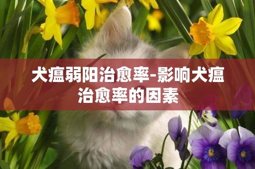 犬瘟弱陽治愈率-影響犬瘟治愈率的因素 犬瘟弱陽治愈率-影響犬瘟治愈率的因素