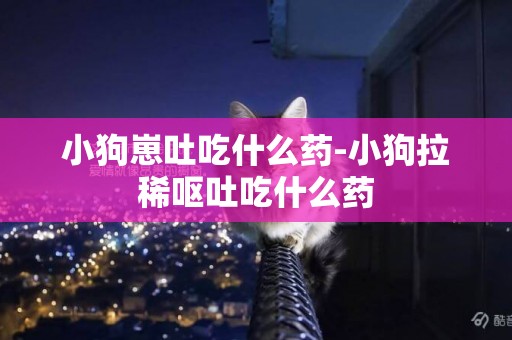 小狗崽吐吃什么藥-小狗拉稀嘔吐吃什么藥