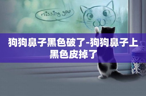 狗狗鼻子黑色破了-狗狗鼻子上黑色皮掉了
