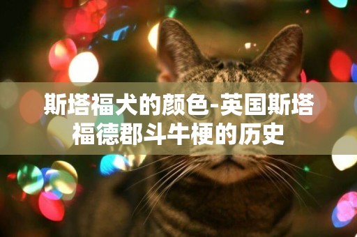 斯塔福犬的顏色-英國斯塔福德郡斗牛梗的歷史