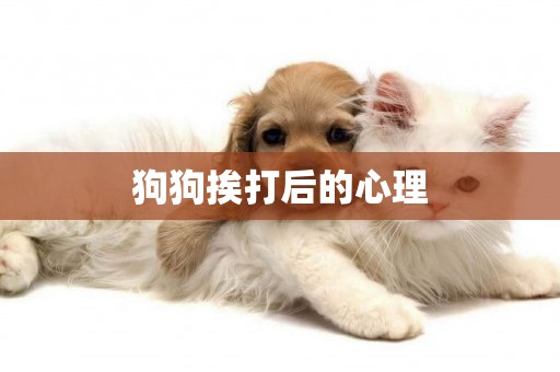 狗狗挨打后的心理
