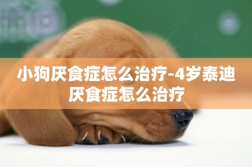 小狗厭食癥怎么治療-4歲泰迪厭食癥怎么治療