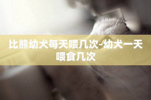 比熊幼犬每天喂幾次-幼犬一天喂食幾次