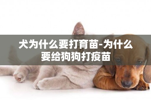 犬為什么要打育苗-為什么要給狗狗打疫苗