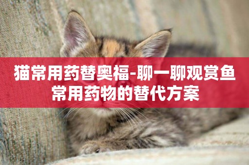 貓常用藥替奧福-聊一聊觀賞魚常用藥物的替代方案