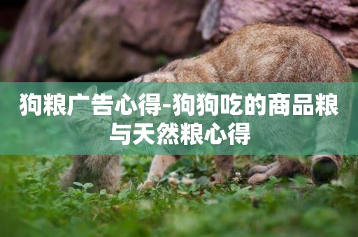 狗糧廣告心得-狗狗吃的商品糧與天然糧心得