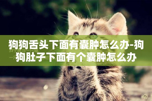 狗狗舌頭下面有囊腫怎么辦-狗狗肚子下面有個囊腫怎么辦