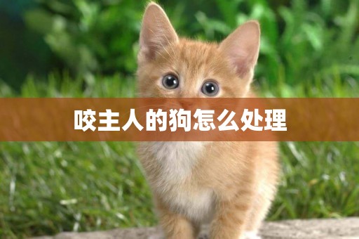 咬主人的狗怎么處理