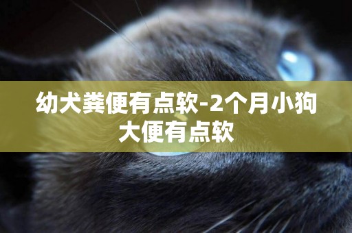 幼犬糞便有點軟-2個月小狗大便有點軟