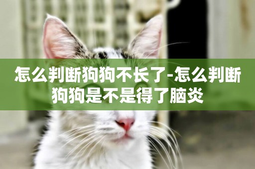 怎么判斷狗狗不長了-怎么判斷狗狗是不是得了腦炎