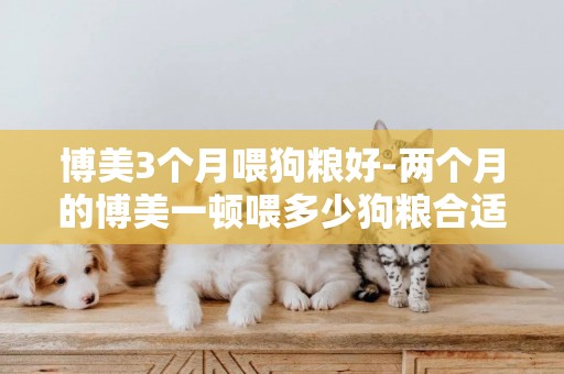博美3個月喂狗糧好-兩個月的博美一頓喂多少狗糧合適