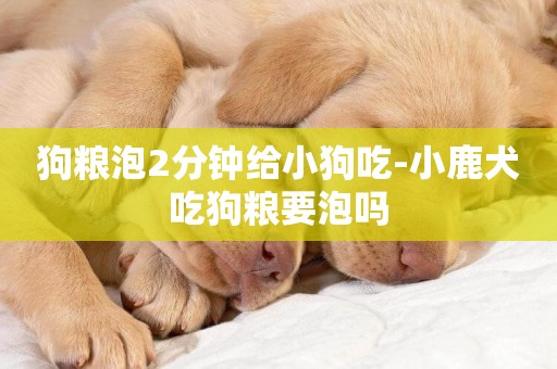 狗糧泡2分鐘給小狗吃-小鹿犬吃狗糧要泡嗎