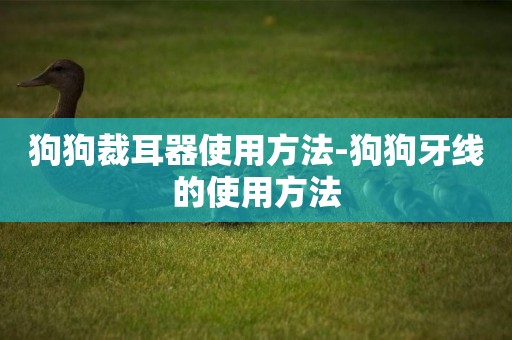 狗狗裁耳器使用方法-狗狗牙線的使用方法