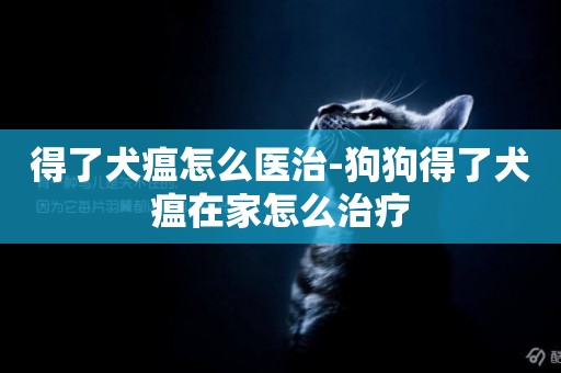 得了犬瘟怎么醫治-狗狗得了犬瘟在家怎么治療