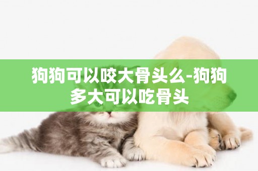 狗狗可以咬大骨頭么-狗狗多大可以吃骨頭