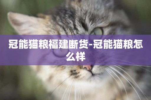 冠能貓糧福建斷貨-冠能貓糧怎么樣