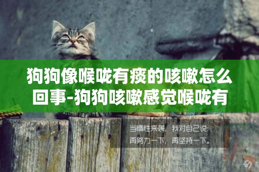 狗狗像喉嚨有痰的咳嗽怎么回事-狗狗咳嗽感覺喉嚨有痰怎么回事