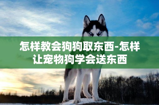 怎樣教會狗狗取東西-怎樣讓寵物狗學會送東西