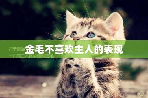 金毛不喜歡主人的表現