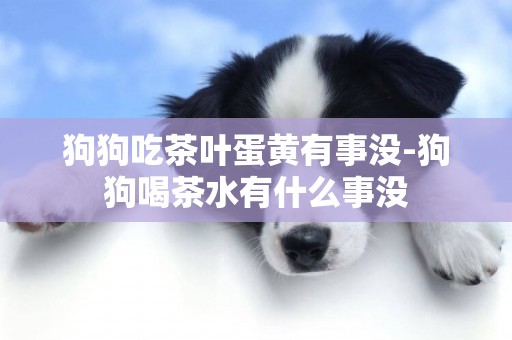狗狗吃茶葉蛋黃有事沒-狗狗喝茶水有什么事沒