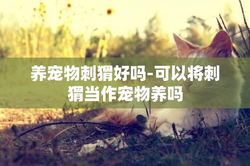 養寵物刺猬好嗎-可以將刺猬當作寵物養嗎