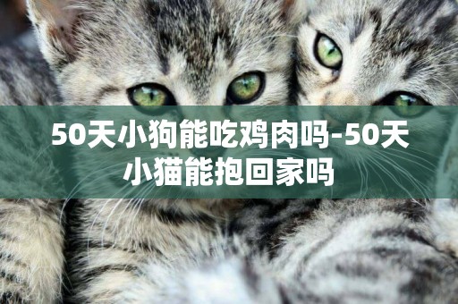 50天小狗能吃雞肉嗎-50天小貓能抱回家嗎