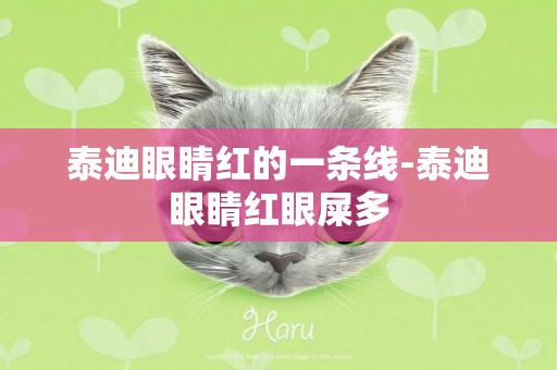 泰迪眼睛紅的一條線-泰迪眼睛紅眼屎多