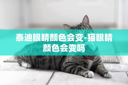 泰迪眼睛顏色會變-貓眼睛顏色會變嗎