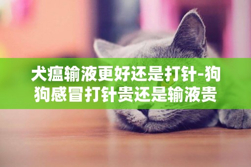犬瘟輸液更好還是打針-狗狗感冒打針貴還是輸液貴