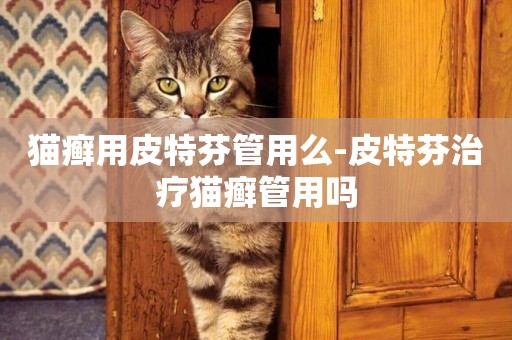 貓癬用皮特芬管用么-皮特芬治療貓癬管用嗎