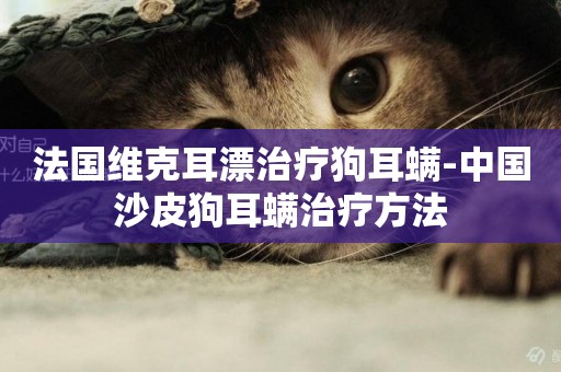 法國維克耳漂治療狗耳螨-中國沙皮狗耳螨治療方法