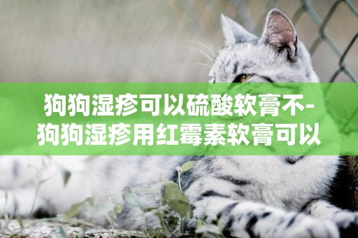 狗狗濕疹可以硫酸軟膏不-狗狗濕疹用紅霉素軟膏可以嗎