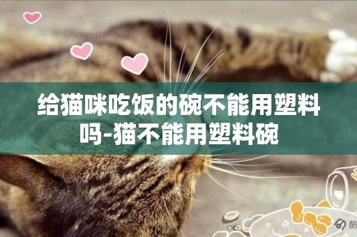 給貓咪吃飯的碗不能用塑料嗎-貓不能用塑料碗
