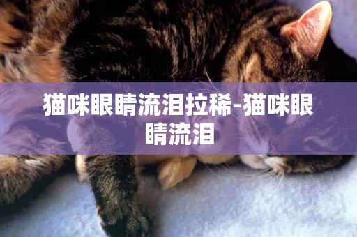 貓咪眼睛流淚拉稀-貓咪眼睛流淚