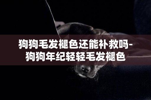 狗狗毛發褪色還能補救嗎-狗狗年紀輕輕毛發褪色