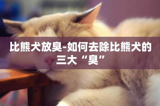 比熊犬放臭-如何去除比熊犬的三大“臭”