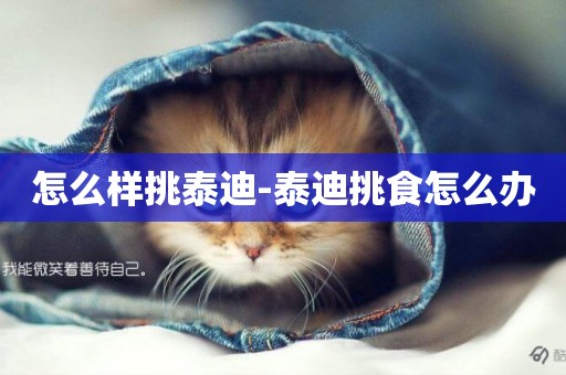 怎么樣挑泰迪-泰迪挑食怎么辦