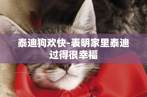 泰迪狗歡快-表明家里泰迪過得很幸福
