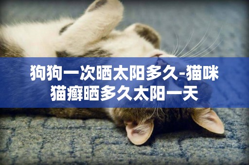 狗狗一次曬太陽多久-貓咪貓癬曬多久太陽一天