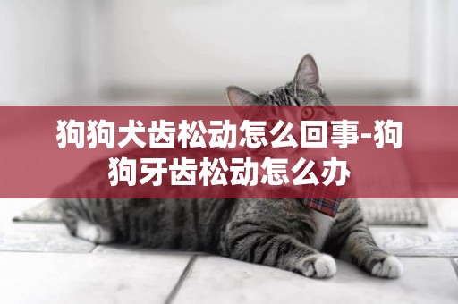 狗狗犬齒松動怎么回事-狗狗牙齒松動怎么辦