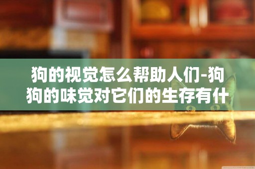狗的視覺怎么幫助人們-狗狗的味覺對它們的生存有什么幫助