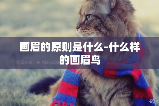 畫眉的原則是什么-什么樣的畫眉鳥