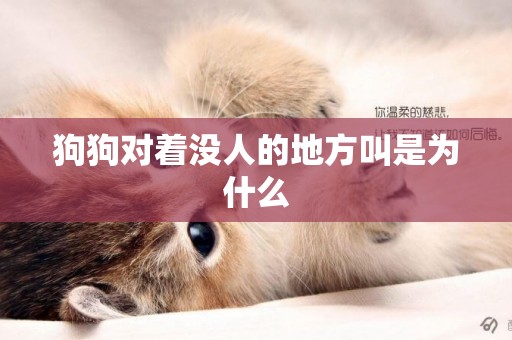 狗狗對著沒人的地方叫是為什么