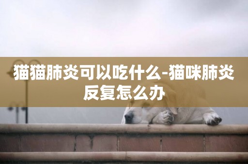 貓貓肺炎可以吃什么-貓咪肺炎反復怎么辦